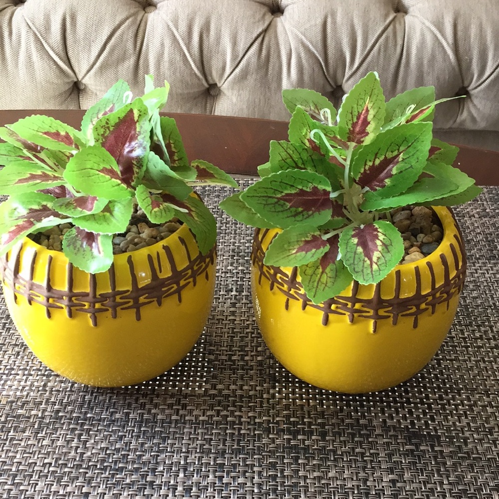 - Set garden party yellow rope ceramic new